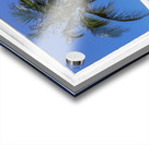 Palm Tree Tropical Window View Impression Acrylique