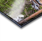 Colorado Rocky Mountain Forest Stream Impression Acrylique