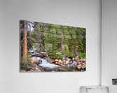 Colorado Rocky Mountain Forest Stream  Impression acrylique
