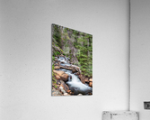 Rocky Mountain Stream  Acrylic Print
