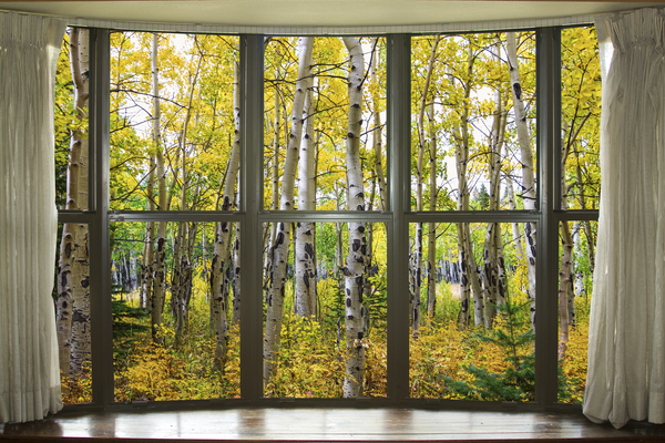 Autumn Forest Bay Window View Digital Download