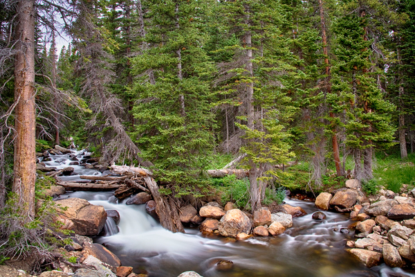 Colorado Rocky Mountain Forest Stream Téléchargement Numérique