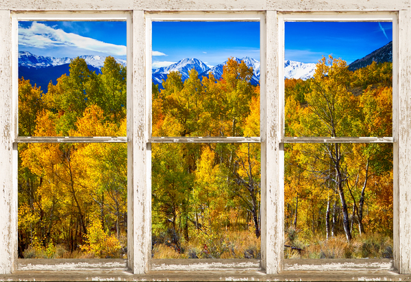 Independence Pass Autumn Colors White Barn Window Digital Download
