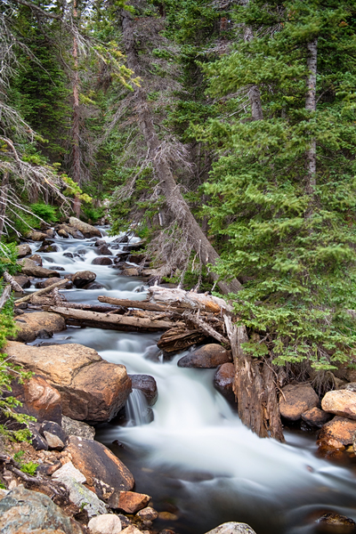 Rocky Mountain Stream Digital Download
