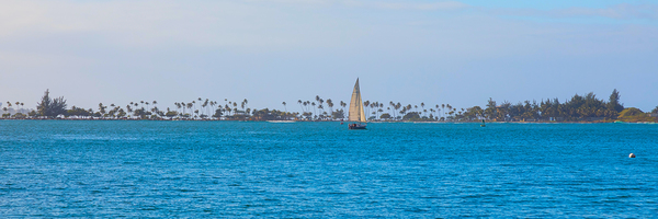 Tropical Sailing Panoramic Digital Download