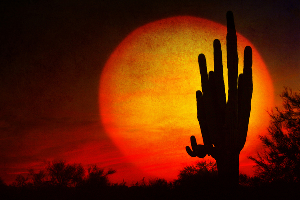 Big Sun Saguaro Sunset Digital Download