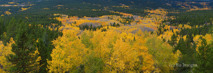 Colorado Autumn Panorama colorful  Print