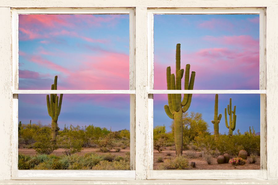 Colorful Southwest Desert Window View  Imprimer