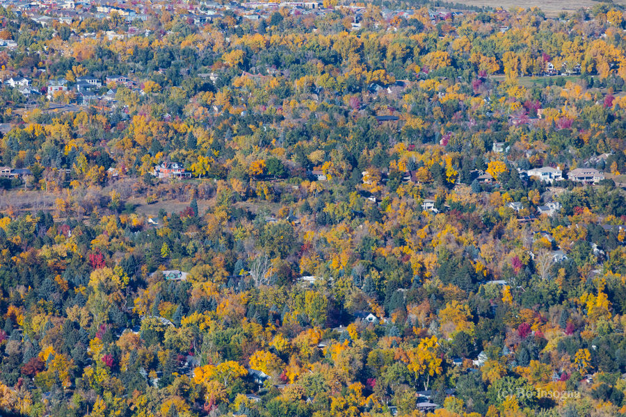 Fall Foliage Boulder Colorado  Print