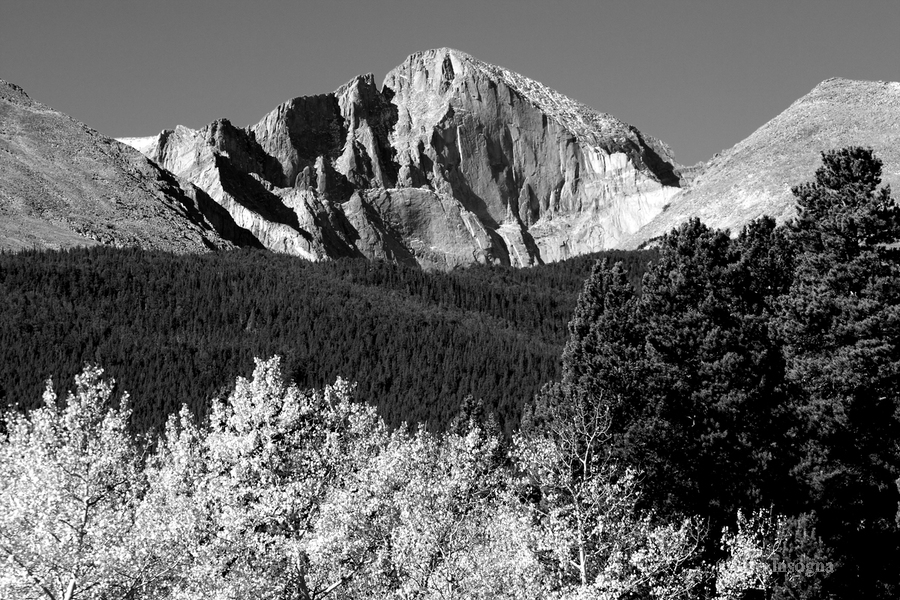 Longs Peak Autumn Aspen Landscape View BW  Print