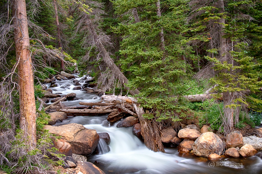 Rocky Mountains Stream Scenic Landscape  Imprimer