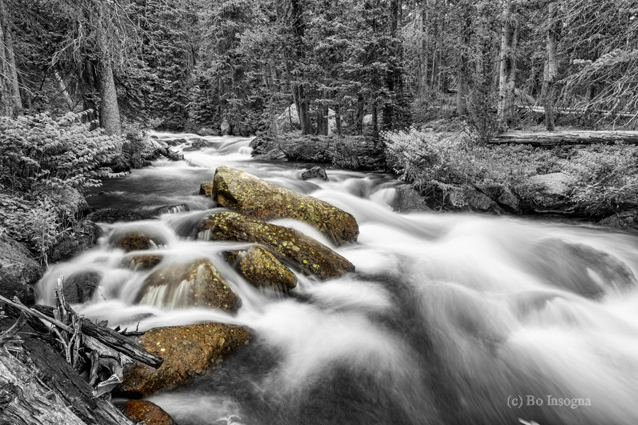 Roosevelt National Forest Stream BW Selective  Print