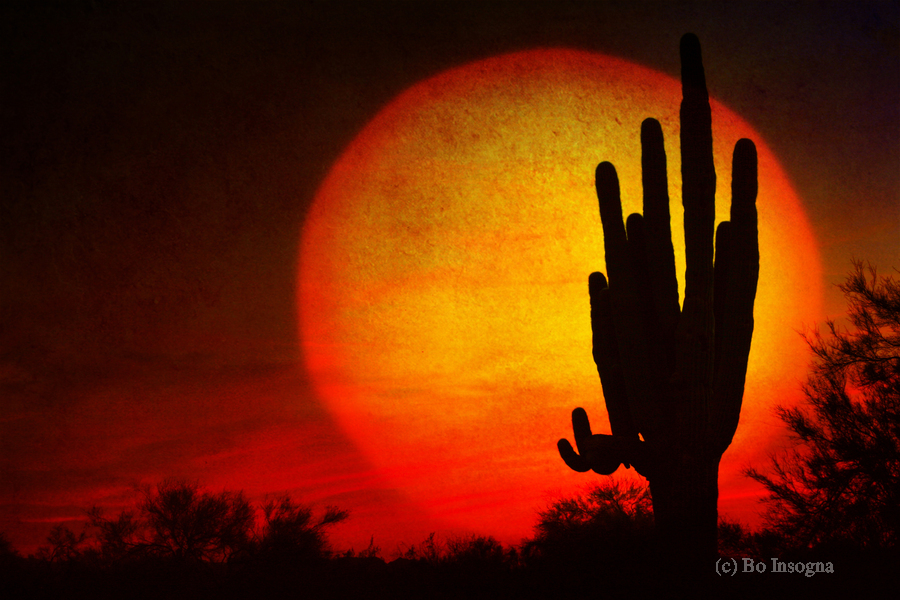 Big Southwest Sunset  Print