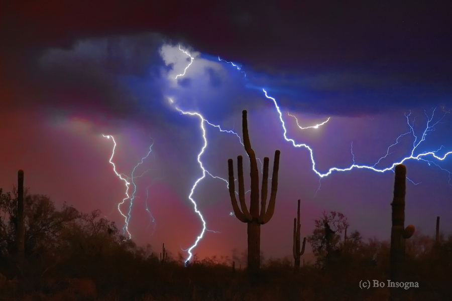 Saguaro Lightning Storm  Print
