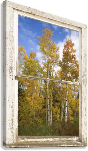 Colorado Autumn Aspens Nature Window View  Canvas Print