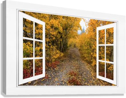 Colorful Trees Down the Drive White Open Window  Canvas Print