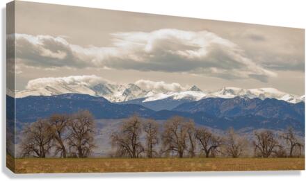 Rocky Mountain Front Range Peaks and Trees Pano  Canvas Print