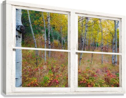 Autumn Forest Delight Rustic Window View  Canvas Print
