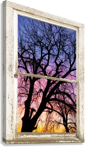 Colorful Tree White Farm House Window Portrai  Canvas Print
