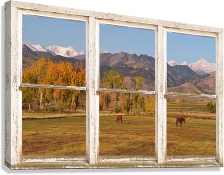 Horses Autumn White Barn Picture Window View  Canvas Print