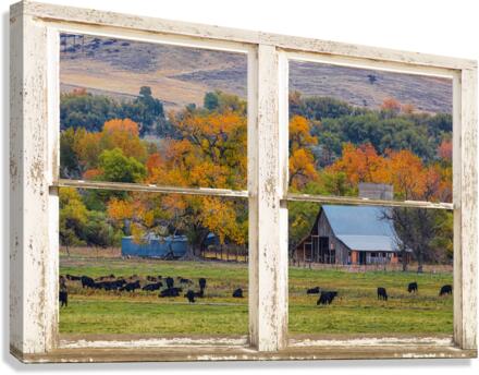 Pretty Colorful Country Rustic Window Frame  Canvas Print