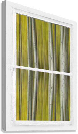 Surreal Dreamy Aspen Forest White Rustic Window  Canvas Print