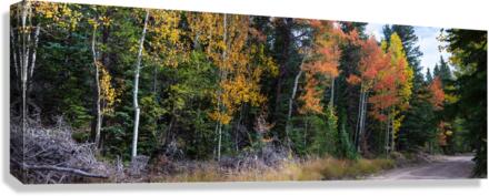 Sunday Drive Wide Panoramic View  Canvas Print