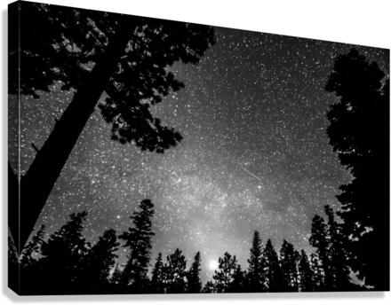 Dark Stellar Universe Deep Into The Night  Canvas Print