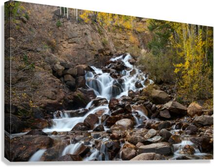 Autumn Guanella Pass Waterfall  Canvas Print