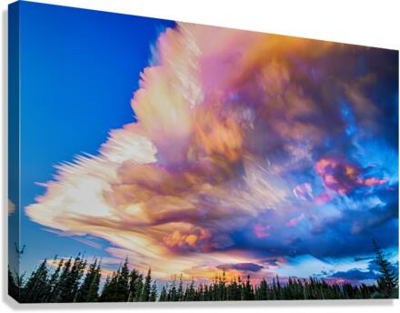 High Elevation Forest Sunset Sky Timed Stack  Canvas Print