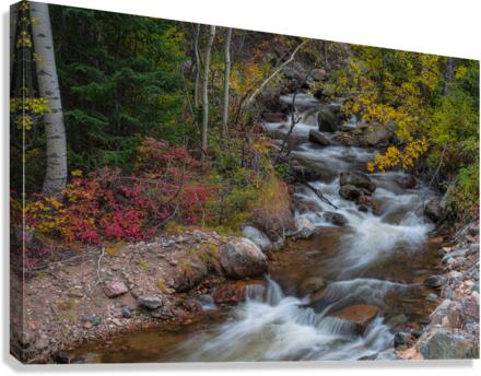 Color Streaming  Canvas Print