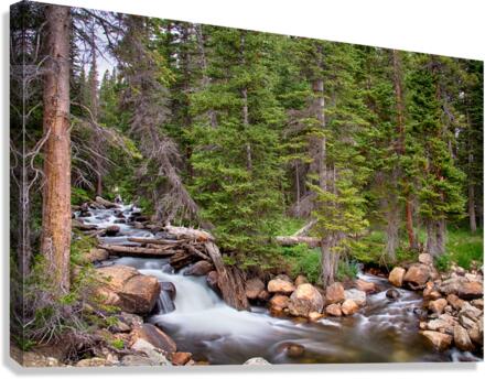 Colorado Rocky Mountain Forest Stream  Impression sur toile