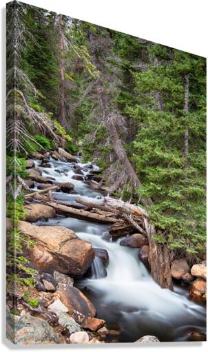 Rocky Mountain Stream  Impression sur toile