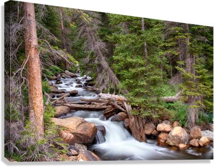 Rocky Mountains Stream Scenic Landscape  Canvas Print