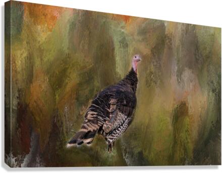 Wild Native Merriam Turkey  Canvas Print