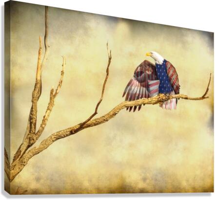 Patriotic Eagle with Stars and Stripes  Canvas Print