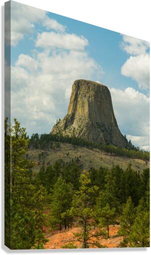 Majestic Devils Tower in Wyoming Surrounded by Pine Forest  Canvas Print