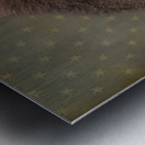 American Bison Profile Impression metal