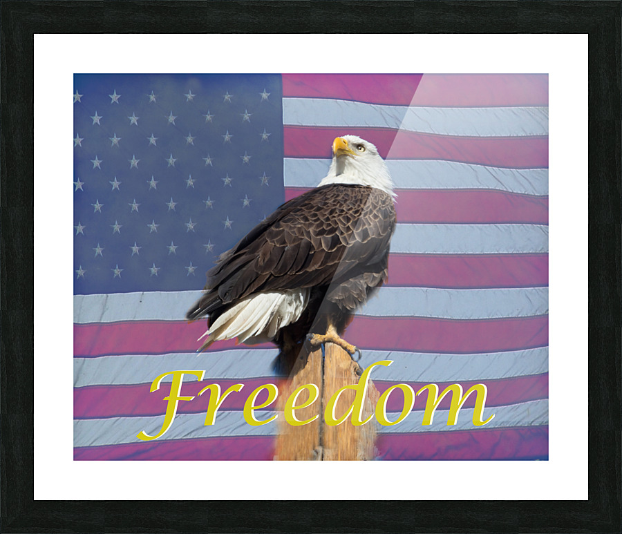 American Freedom  Framed Print Print