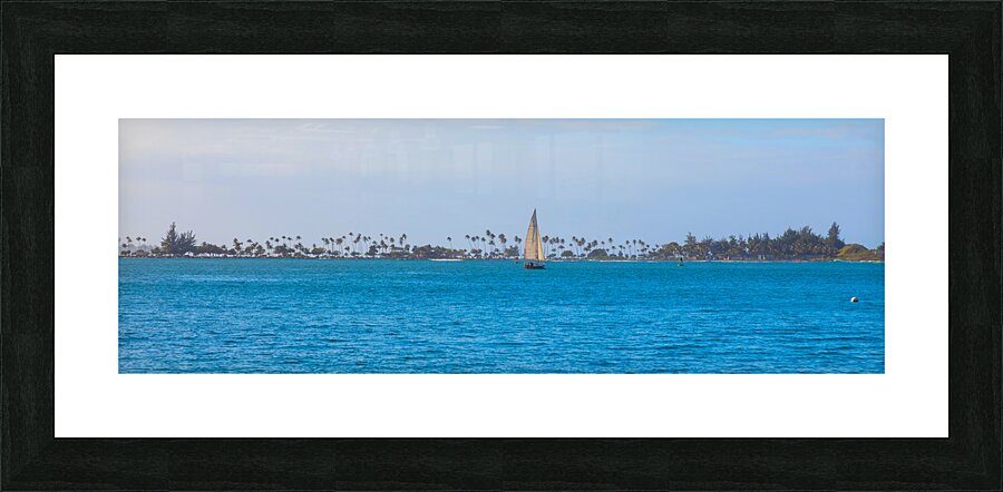 Tropical Sailing Panoramic  Framed Print Print