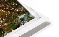Sun Glowing Lush Trees Lakeside Whitewash Window HD Metal print