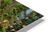 Colorado Rocky Mountain Forest Stream Impression metal HD