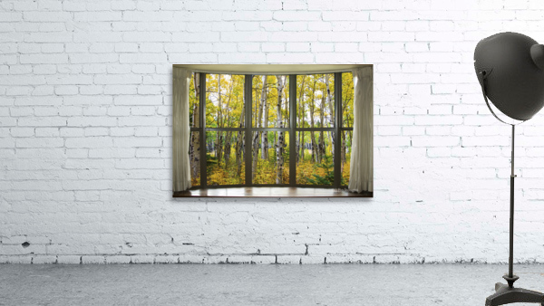 Autumn Forest Bay Window View by Bo Insogna