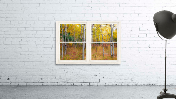 Happy Forest  Autumn Season Rustic Window View by Bo Insogna