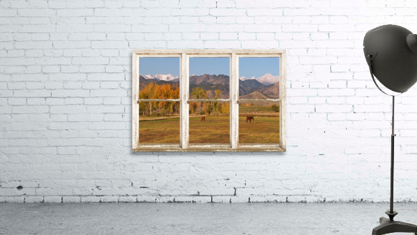 Horses Autumn White Barn Picture Window View by Bo Insogna