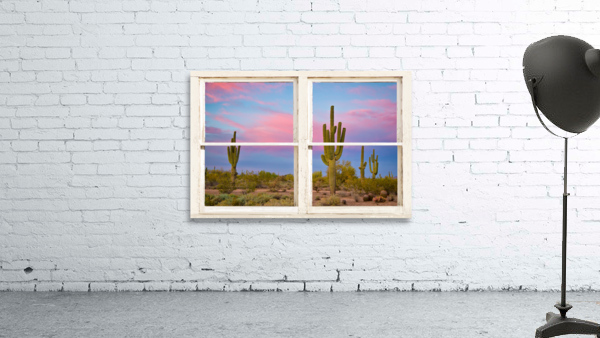 Colorful Southwest Desert Window View by Bo Insogna
