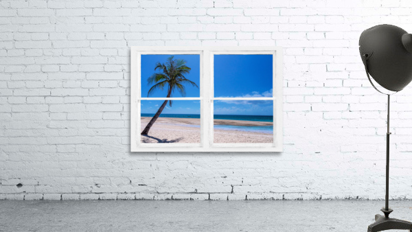 Tropical Paradise Whitewash Window View by Bo Insogna