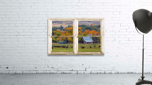 Pretty Colorful Country Rustic Window Frame by Bo Insogna