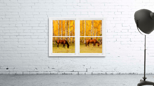 2 Horses Aspen Trees Whitewash Picture Window by Bo Insogna