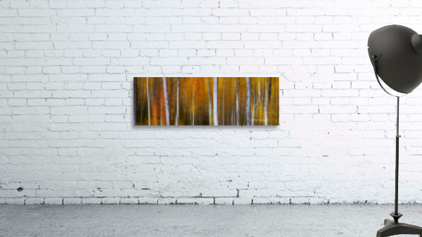 Forest Color Burst Modern Abstract 60x20 by Bo Insogna